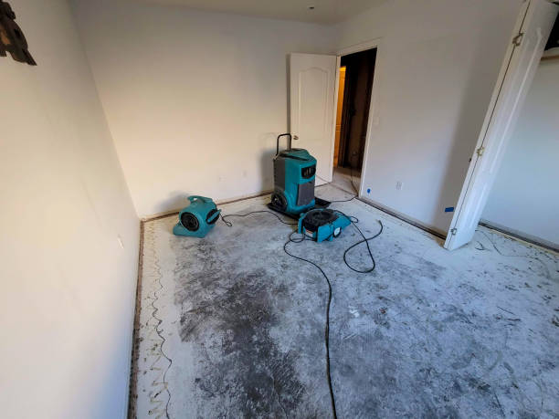 Water damage restoration mold remediation in Agua Dulce, TX